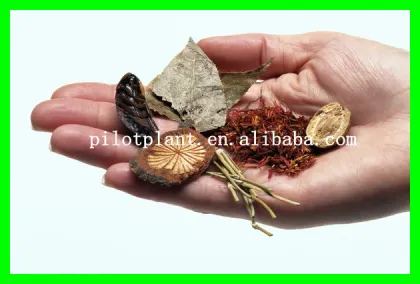 Particles pilot spray drying machine