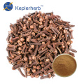 China Organic Spices Extract Clove Extract in Bulk Manufactory