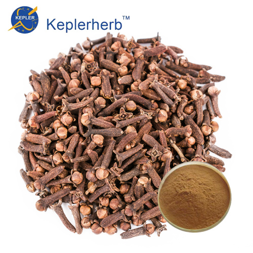 Ginkgo Biloba Extract Plant Organic Spices Extract Clove Extract in Bulk Supplier