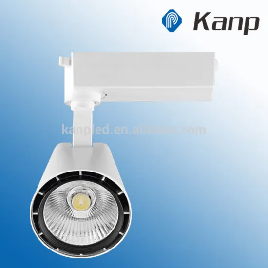 30W High Lumen Hot Sale COB Chip Gallery COB Track Light