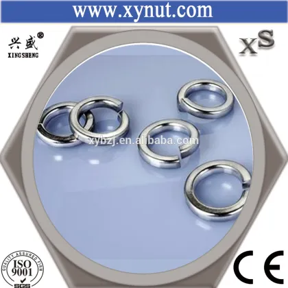 China factory hardware spring washer