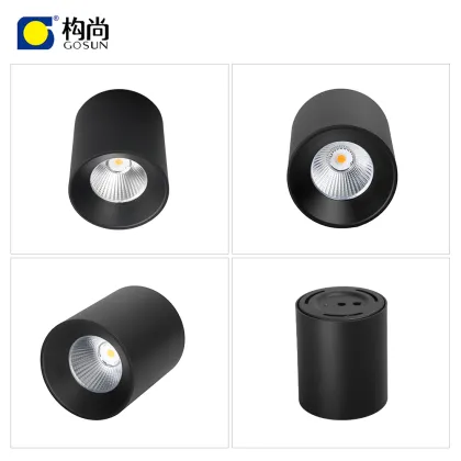 CITIZEN COB LED Light Source with CE, LVD, EMC, and RoHS Certification - Surface Mounted Downlights