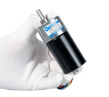 Factory Supply 3650 Brushless DC Reduction Motor - 12V/24V, Adjustable Speed, High Torque BLDC Geared Motor