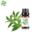 100% Pure Natural Tea Tree Essential Oil