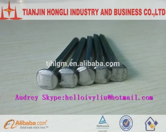 Electro Galvanzied Square boat nails