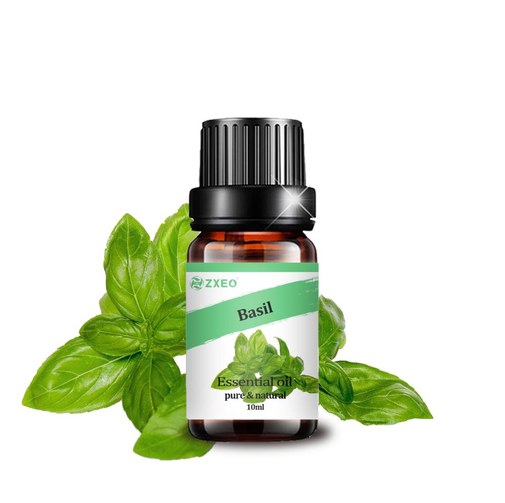 100% Natural Pure Basil Oil For Aromatherapy Use Private Label Pure Organic Hair care Essential oil