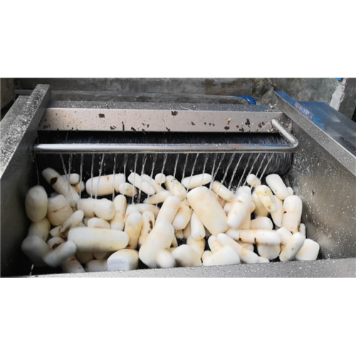 Kassava-Kartoffel-Hautwaschmaschine und -schäler
