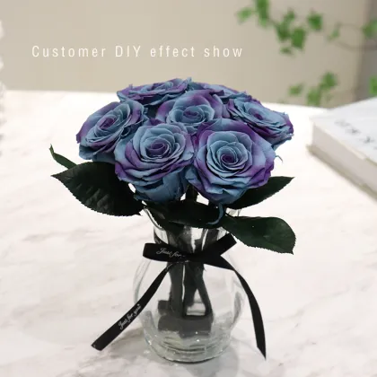 Long-Lasting Preserved Real Roses - Eternal Forever Flowers with Stems