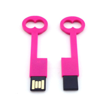 usb promotional gifts Portable usb key pro