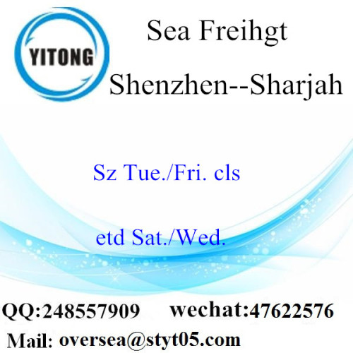 Shenzhen Port LCL Consolidation To Sharjah