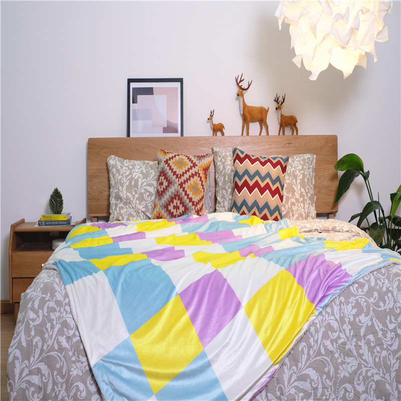 Indoor Double Layer Smooth Colorful Printed Bed Blanket