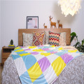 Customized Printed Smooth Indoor Bedding Throw Blankets