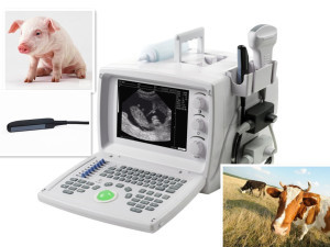 Sp-880z Veterinary Ultrasound Scanner