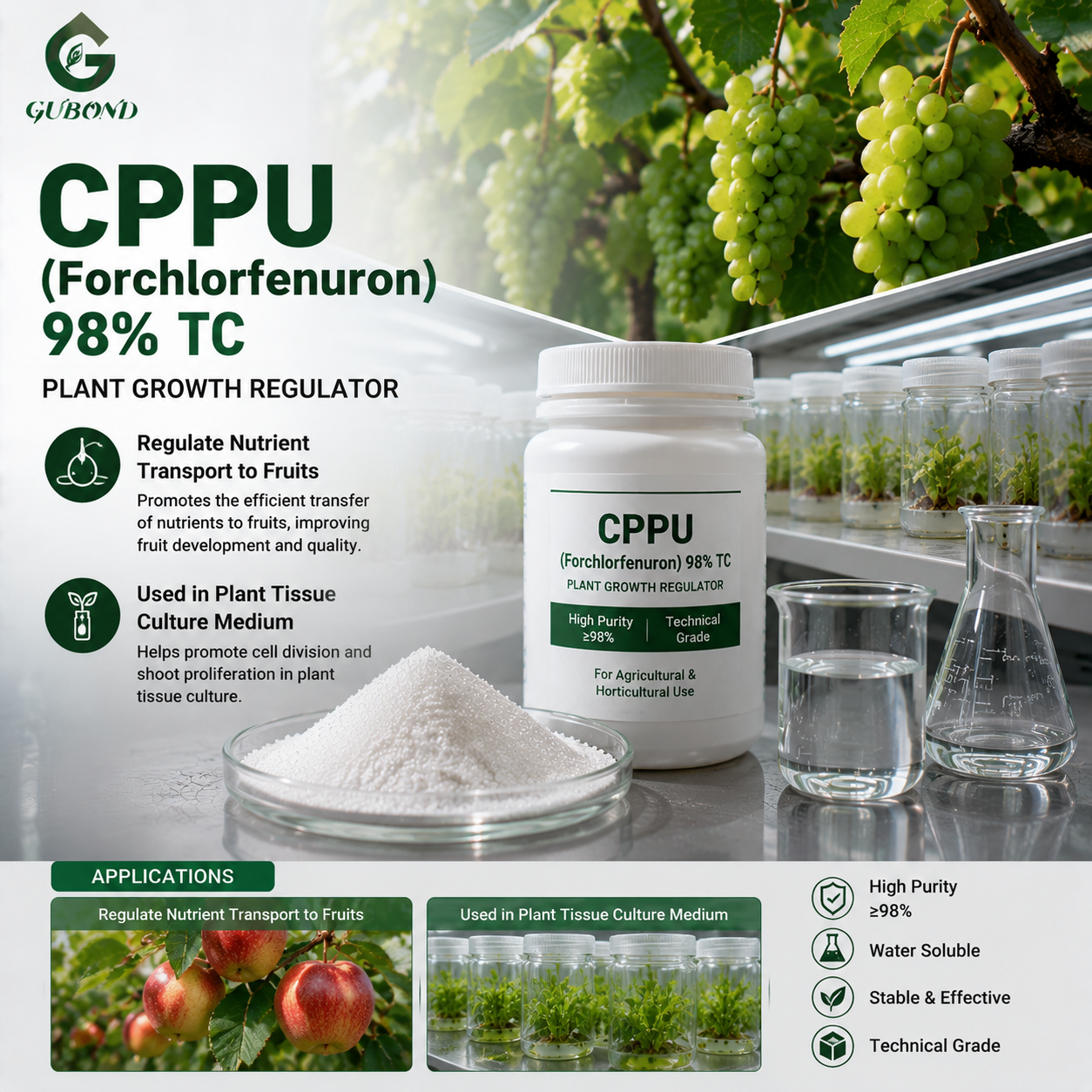 CPPU Forchlorfenuron (6)