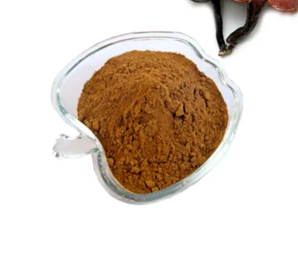 Mushroom Extract Ganoderma Lucidum