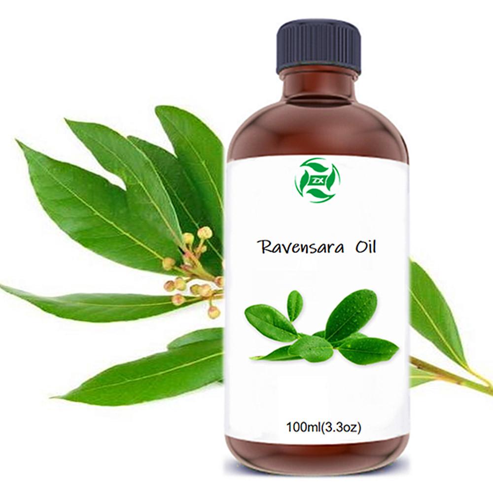 Supply High Quality Aroma Ravensara Essential Oil