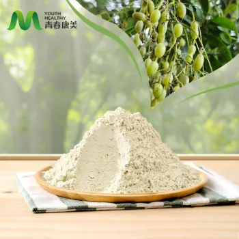 Pure Genistein 98% for Antioxidant Applications