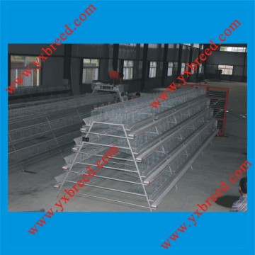 Layer Chicken Cage