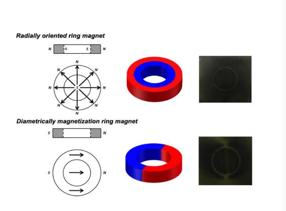 anel radialmente magnetizado