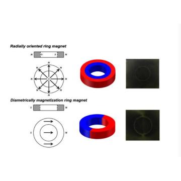 radially magnetized ring