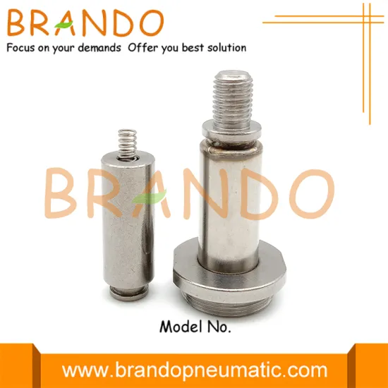 2W Series Water Solenoid Valve Armature Stem Plunger