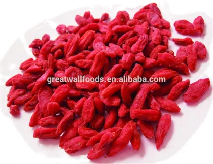 High quality dried goji berries with best price/ natural goji berry