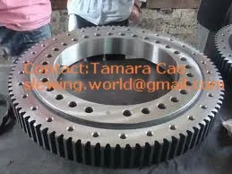 Roller and Ball Slewing Bearing