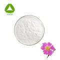 Banaba -Blatt -Extrakt Corosolsäure 98% Pulver