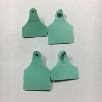 connected Cow ear tag