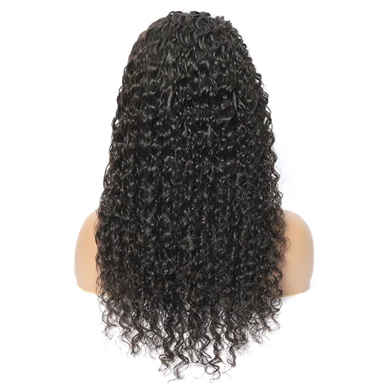 High Density Hot Sale Wet And Wavy Human Hair Wigs Unprocessed 4X4 Water Wave Wig HD Transparent Swiss Lace Closure Wigs