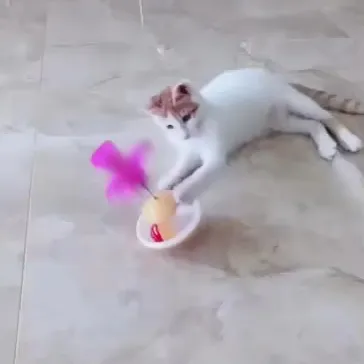 MOFESIPI Cat Toy Feather Bell Tumbler Teasing Stick