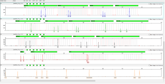 STR detection results