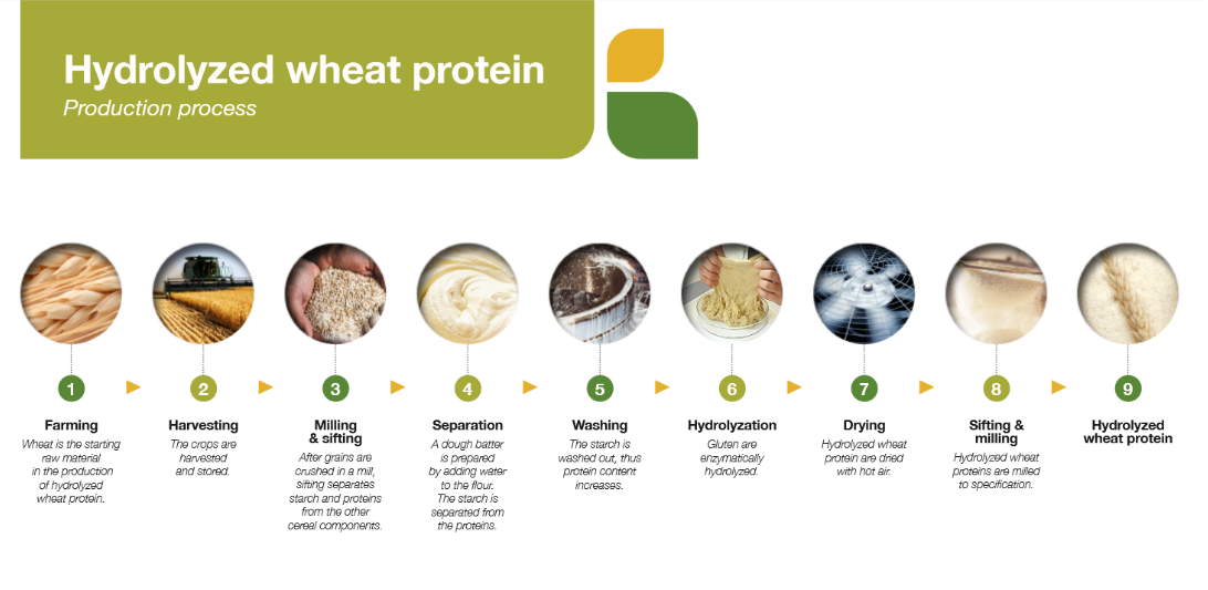 Wheat Protein (5)