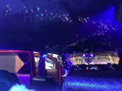 DC 12V Car Roof Starlight Music Control LED Fiber Optic Light Kit: Twinkle Stars & Shooting Stars