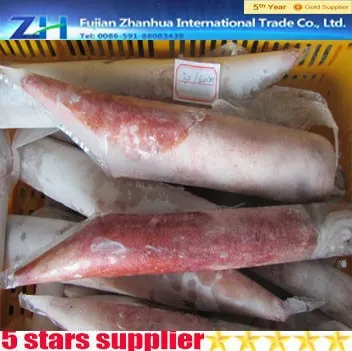 Fish food loligo/frozen loligo squid