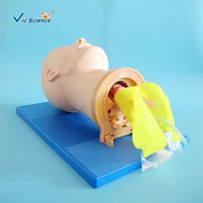 Air-way Management Training Model