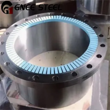 ASTM B564 Incoloy 800H Flange