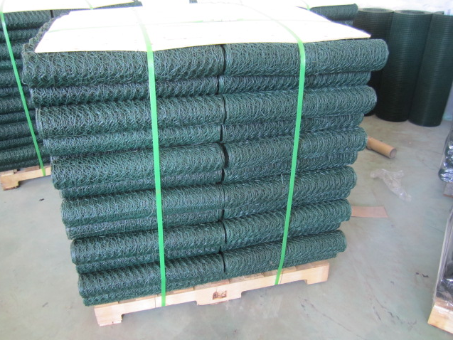 hexagonal wire mesh