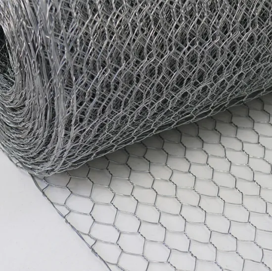 SS Hexagonal Wire Netting