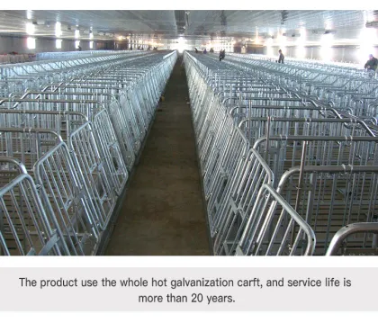 Pig Stall and Cage Solutions for Pig Farms