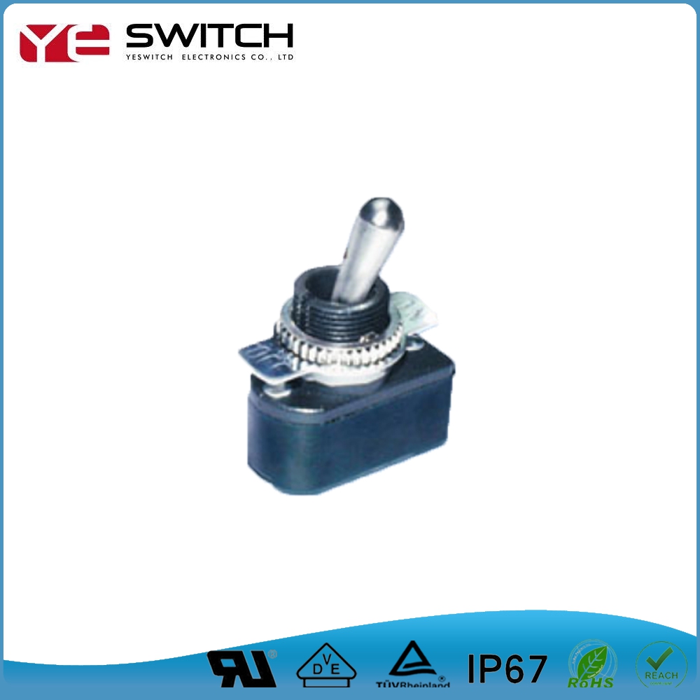 Automotive Toggle Switches