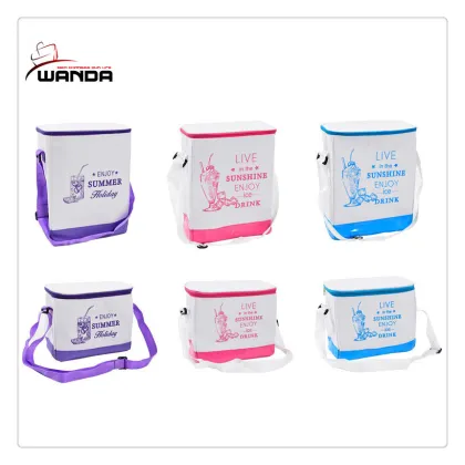 Ice packs the picnic bag