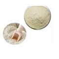 supply Freeze dried Aloe vera extract powder