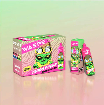 Popular Waspe 12000Puffs Hot Vape Sweden