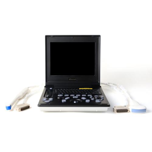 Siamese cat mammary ultrasound diagnosis equipment
