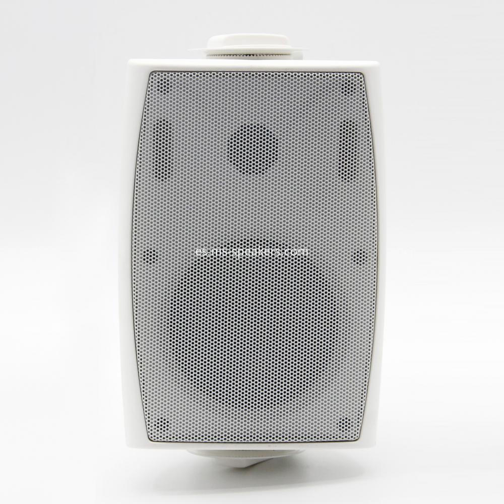 Wall Mount Speaker