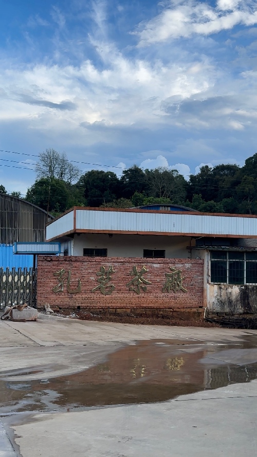 tea factory