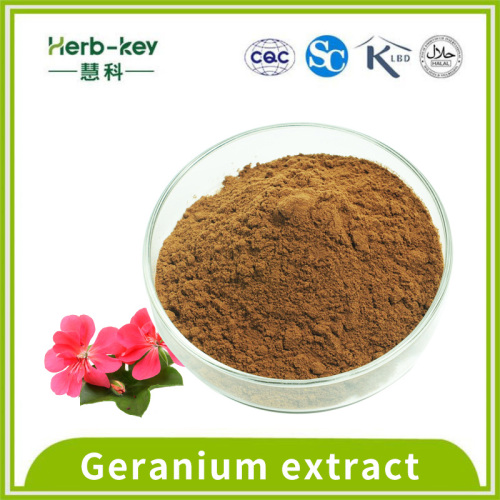 Contém Coumarin 10: 1 Pelargonium Hortorum Extract