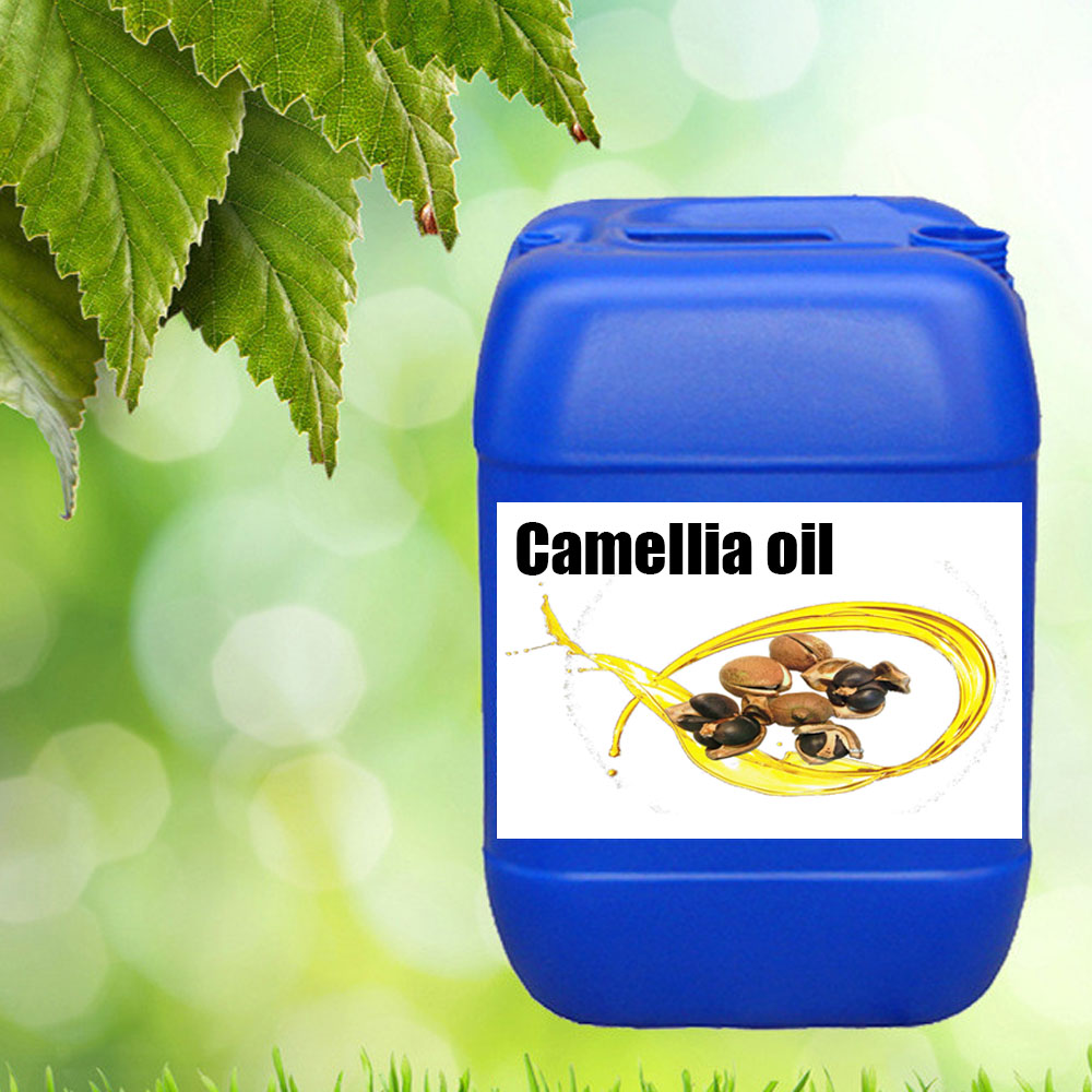 Factory supply natural camellia seed oil for wholesale