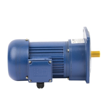G3 Series 220V AC Gear Motor untuk ayam dengan kotak brek menegak